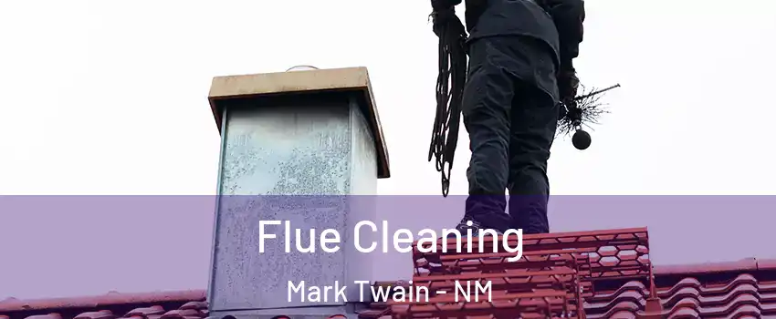 Flue Cleaning Mark Twain - NM