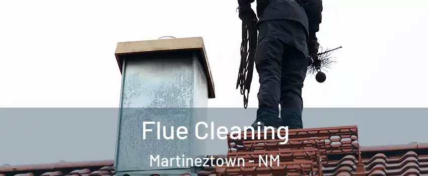 Flue Cleaning Martineztown - NM