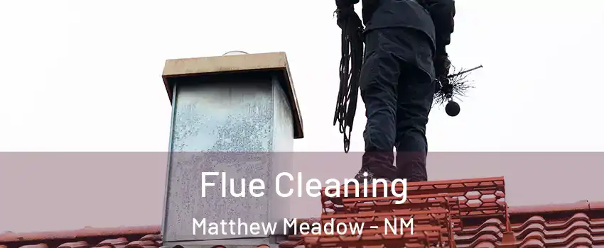 Flue Cleaning Matthew Meadow - NM