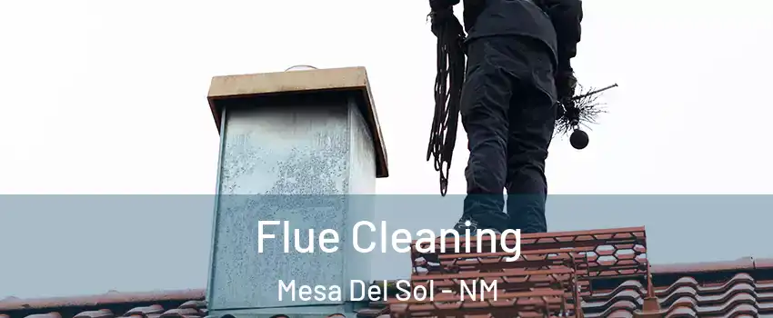 Flue Cleaning Mesa Del Sol - NM
