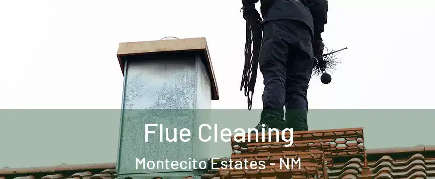 Flue Cleaning Montecito Estates - NM