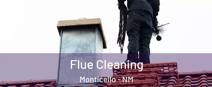 Flue Cleaning Monticello - NM
