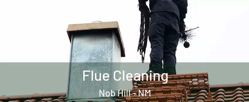 Flue Cleaning Nob Hill - NM