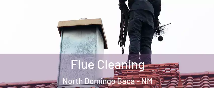 Flue Cleaning North Domingo Baca - NM