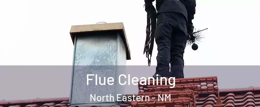 Flue Cleaning North Eastern - NM