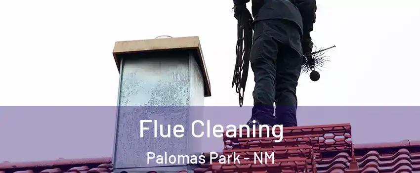 Flue Cleaning Palomas Park - NM