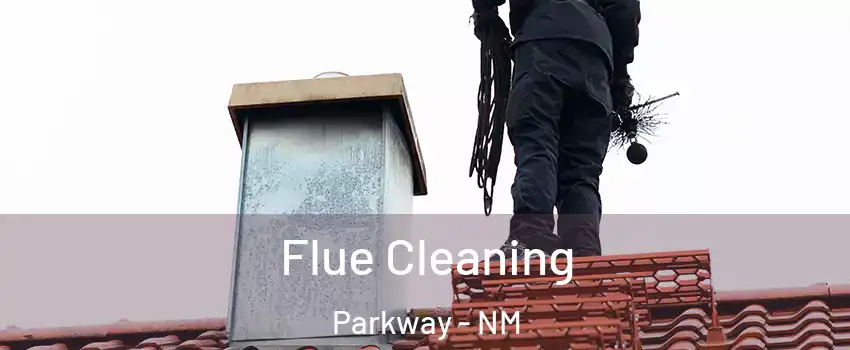 Flue Cleaning Parkway - NM