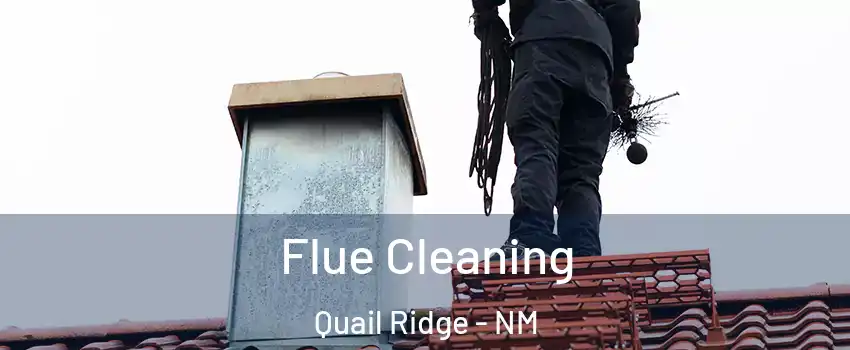Flue Cleaning Quail Ridge - NM