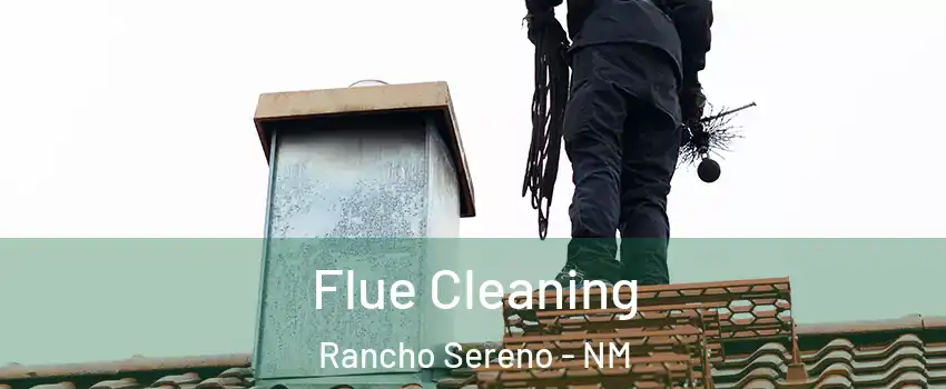 Flue Cleaning Rancho Sereno - NM