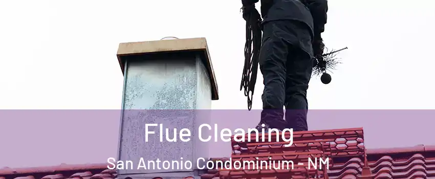 Flue Cleaning San Antonio Condominium - NM