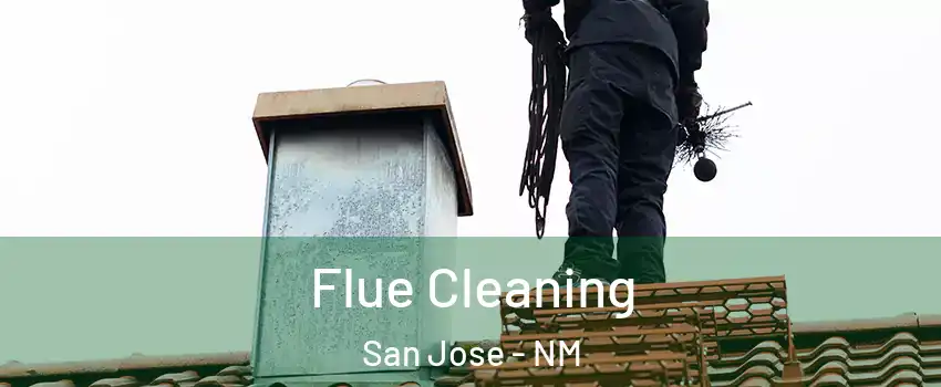 Flue Cleaning San Jose - NM