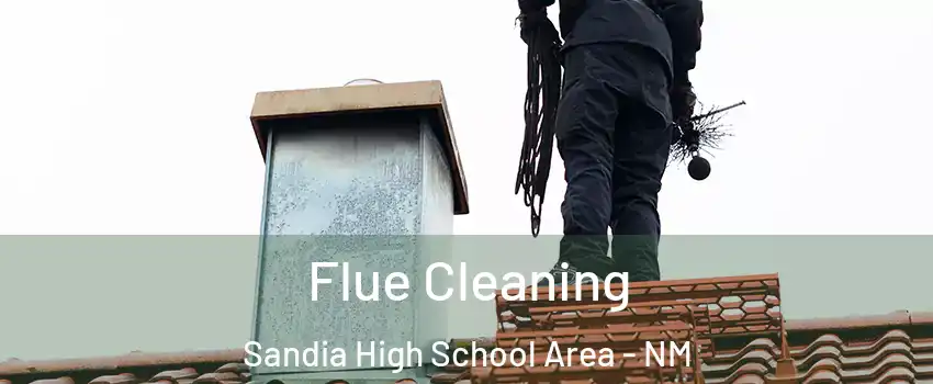 Flue Cleaning Sandia High School Area - NM