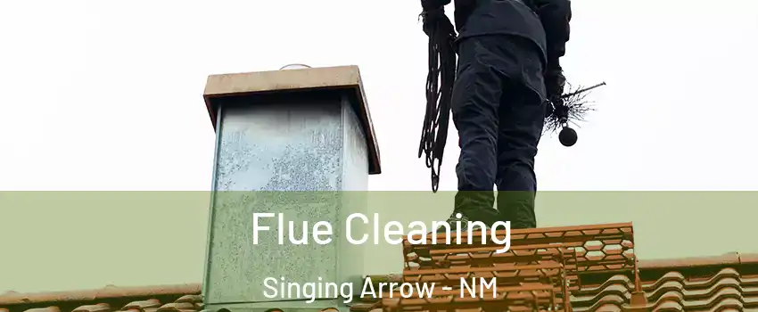 Flue Cleaning Singing Arrow - NM