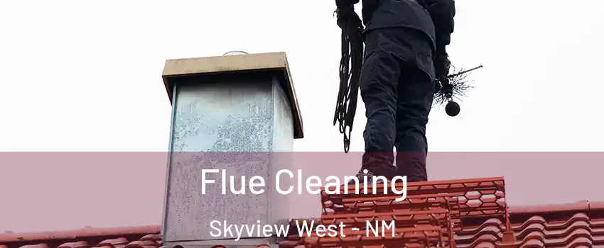 Flue Cleaning Skyview West - NM
