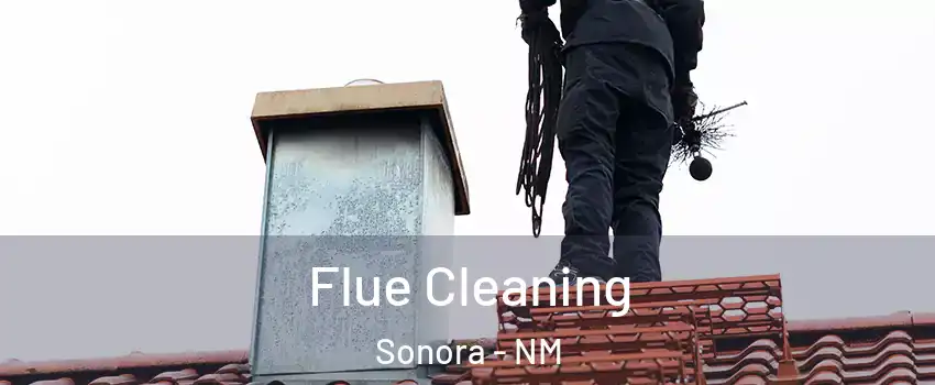 Flue Cleaning Sonora - NM