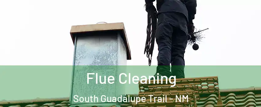 Flue Cleaning South Guadalupe Trail - NM
