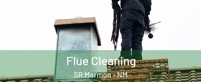 Flue Cleaning SR Marmon - NM