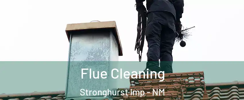 Flue Cleaning Stronghurst Imp - NM