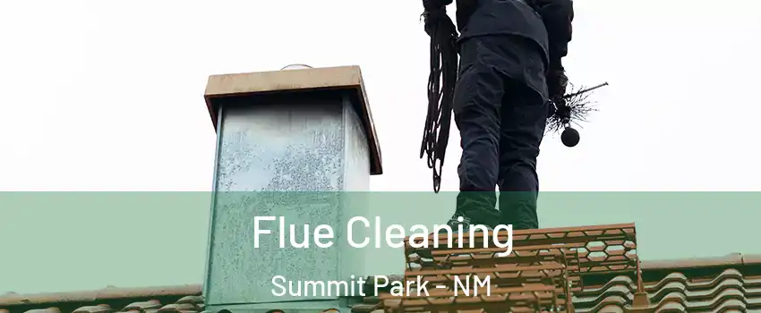 Flue Cleaning Summit Park - NM