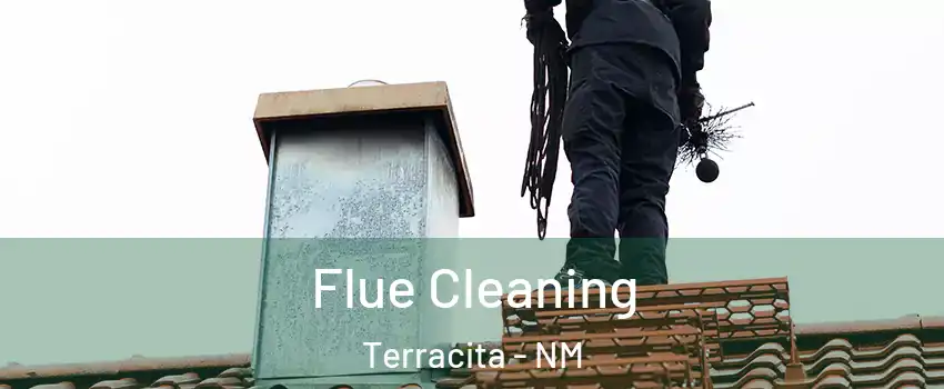 Flue Cleaning Terracita - NM
