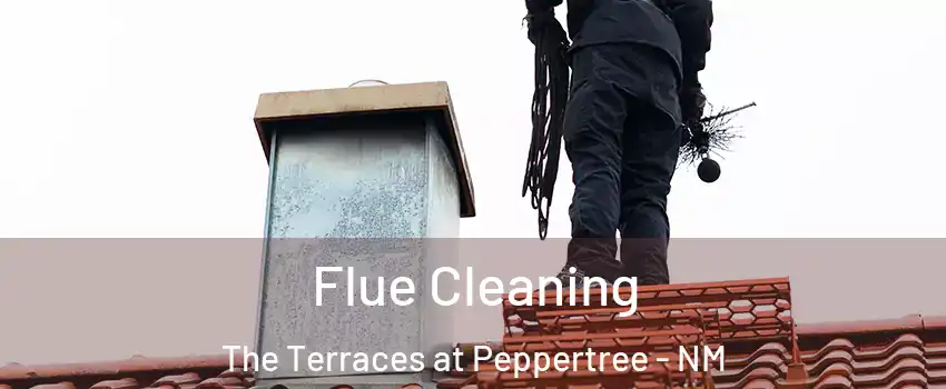 Flue Cleaning The Terraces at Peppertree - NM