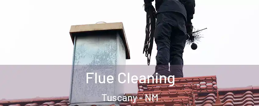 Flue Cleaning Tuscany - NM