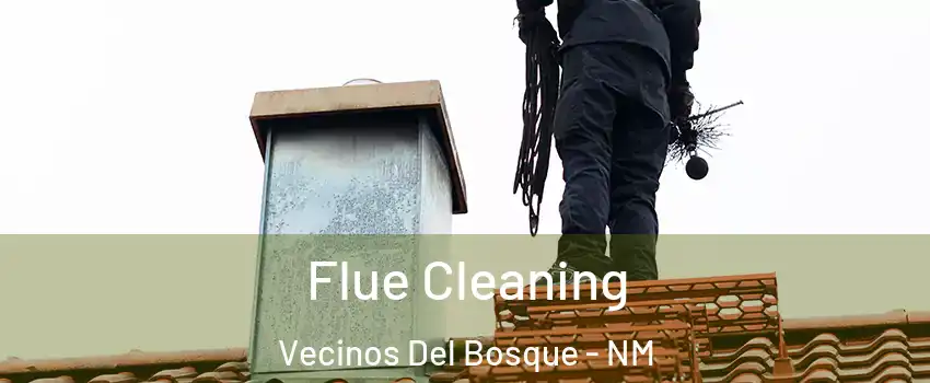 Flue Cleaning Vecinos Del Bosque - NM