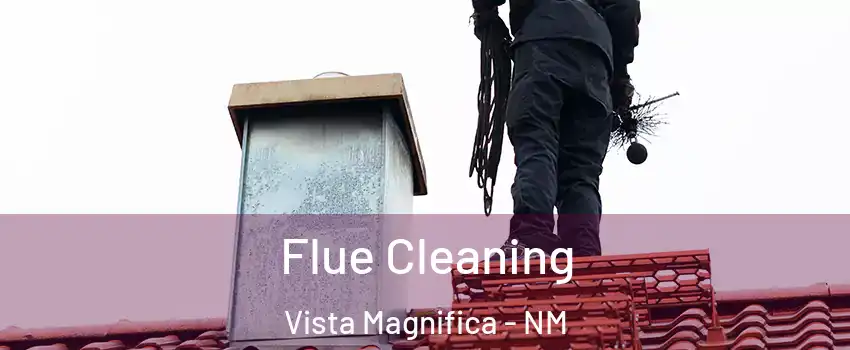 Flue Cleaning Vista Magnifica - NM