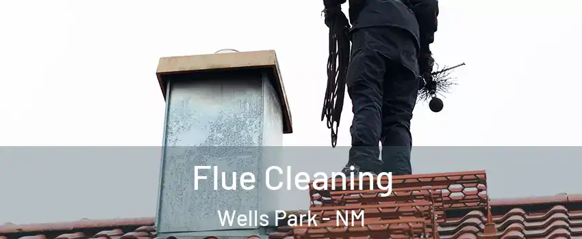 Flue Cleaning Wells Park - NM