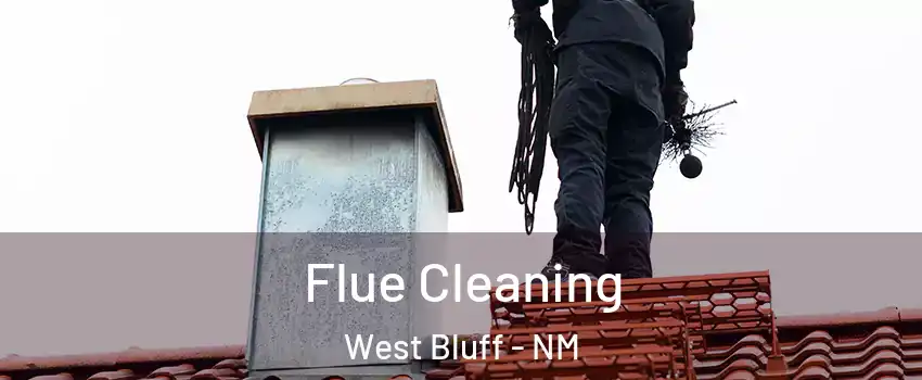 Flue Cleaning West Bluff - NM