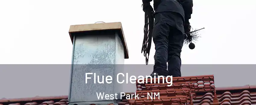 Flue Cleaning West Park - NM