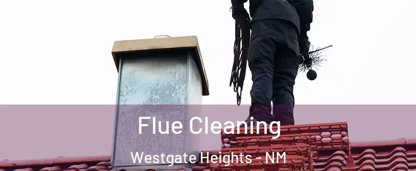 Flue Cleaning Westgate Heights - NM