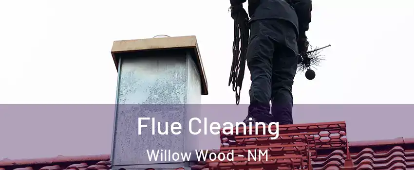 Flue Cleaning Willow Wood - NM