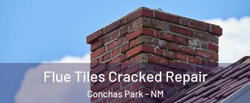 Flue Tiles Cracked Repair Conchas Park - NM