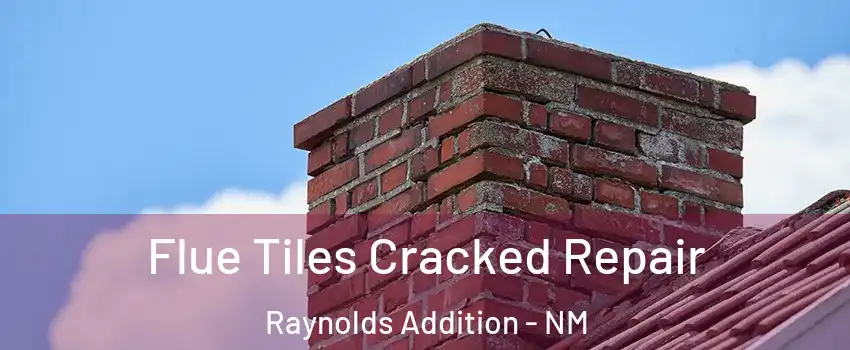 Flue Tiles Cracked Repair Raynolds Addition - NM