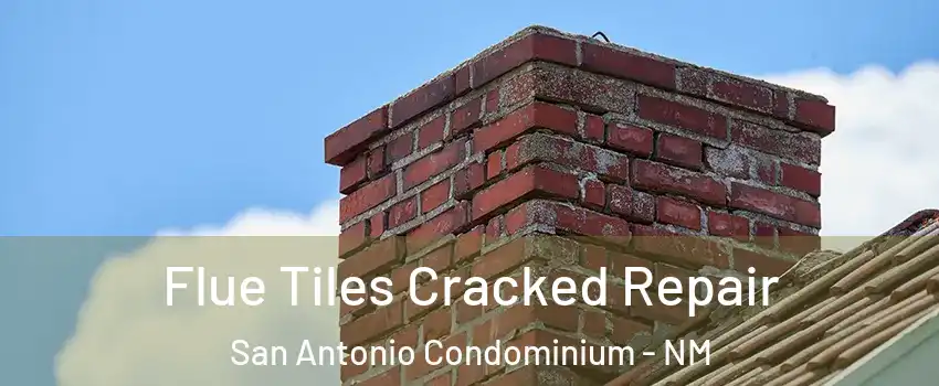 Flue Tiles Cracked Repair San Antonio Condominium - NM