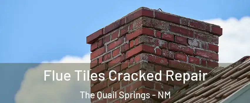 Flue Tiles Cracked Repair The Quail Springs - NM