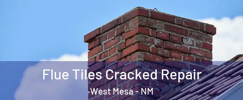 Flue Tiles Cracked Repair West Mesa - NM