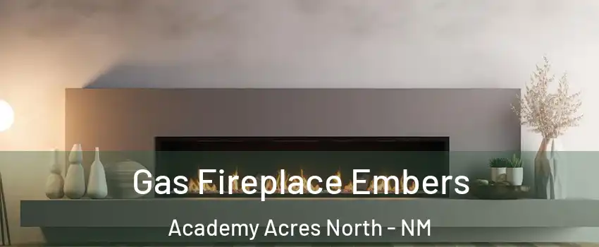 Gas Fireplace Embers Academy Acres North - NM