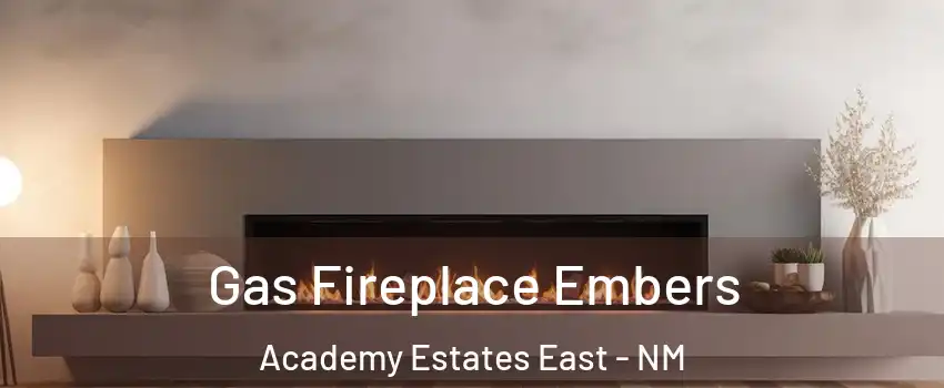 Gas Fireplace Embers Academy Estates East - NM