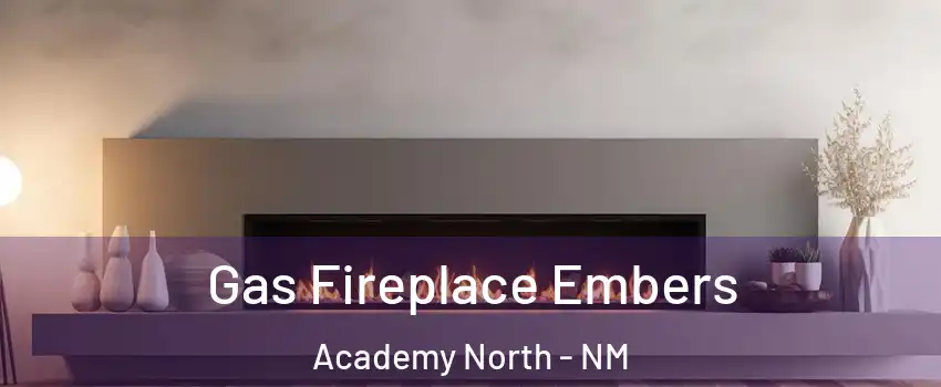Gas Fireplace Embers Academy North - NM
