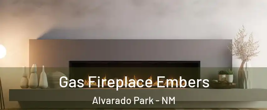 Gas Fireplace Embers Alvarado Park - NM