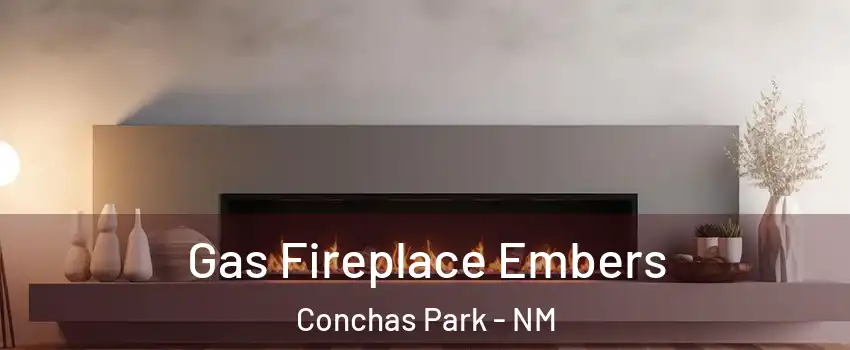 Gas Fireplace Embers Conchas Park - NM