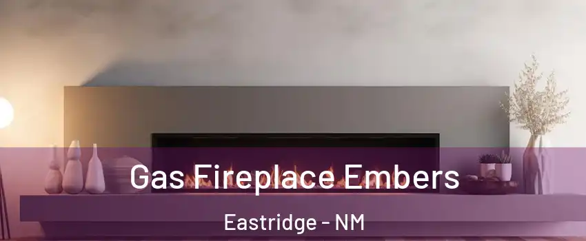 Gas Fireplace Embers Eastridge - NM