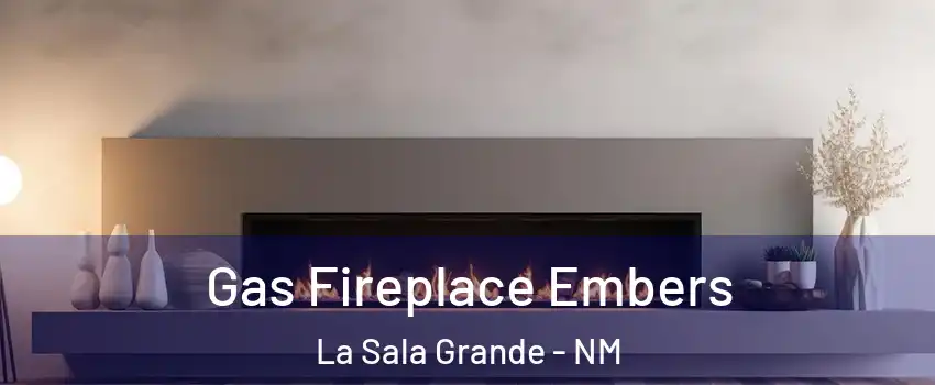 Gas Fireplace Embers La Sala Grande - NM