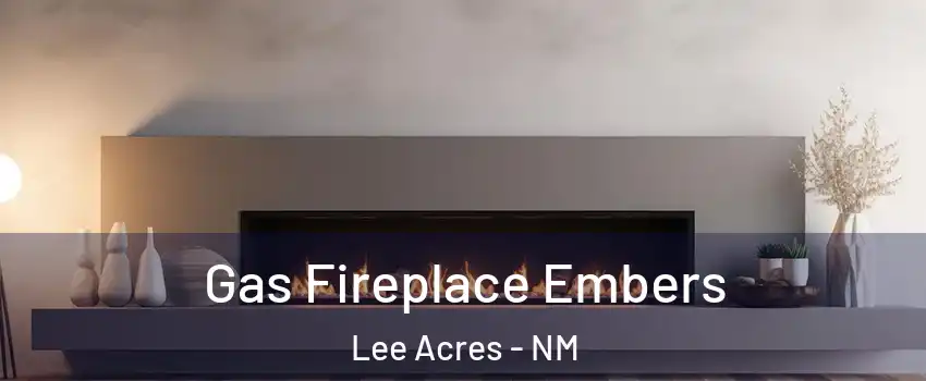 Gas Fireplace Embers Lee Acres - NM