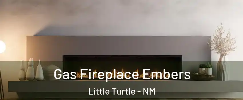 Gas Fireplace Embers Little Turtle - NM