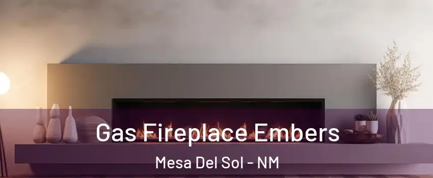 Gas Fireplace Embers Mesa Del Sol - NM