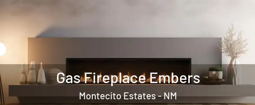 Gas Fireplace Embers Montecito Estates - NM