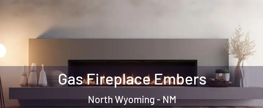 Gas Fireplace Embers North Wyoming - NM